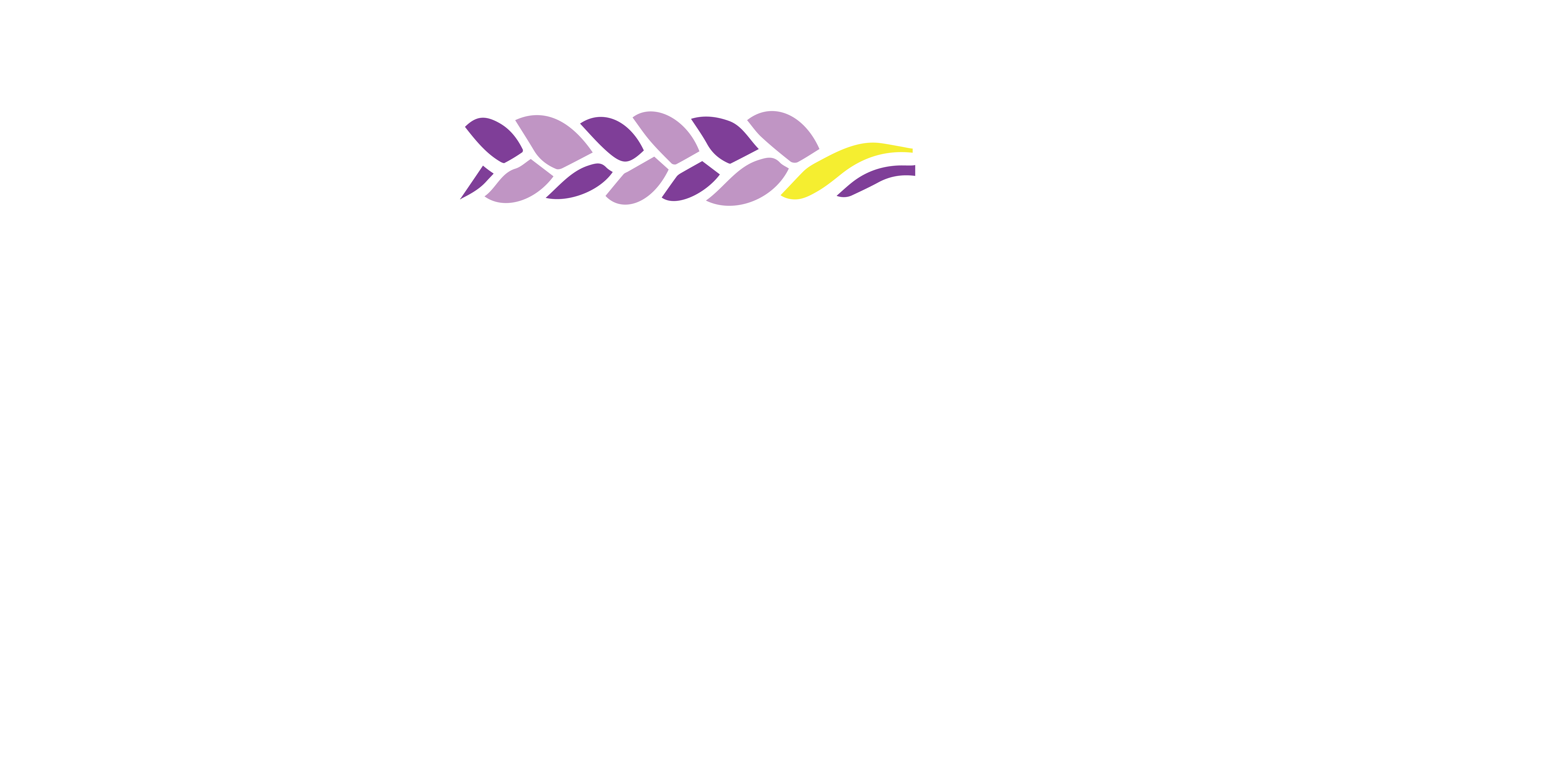 Tocang Links